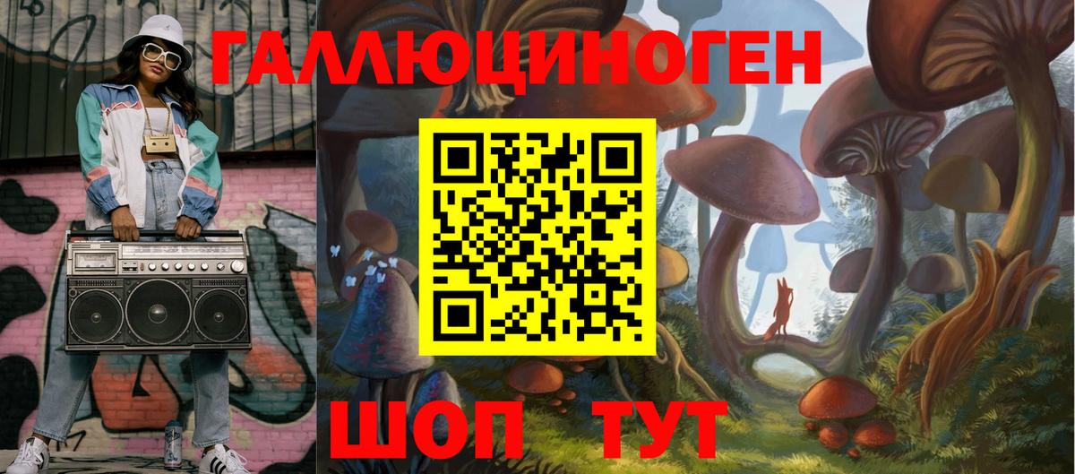 Галлюциногенные грибы Cubensis Усть-Джегута